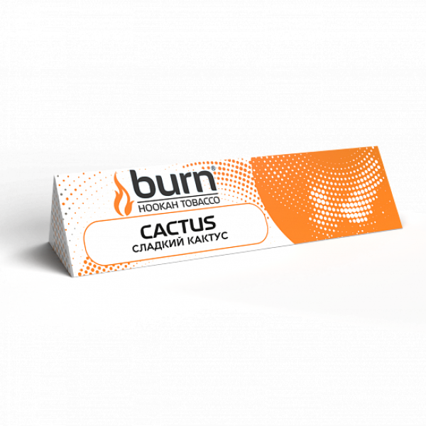 Табак BURN CACTUS 25 грамм в Магадане