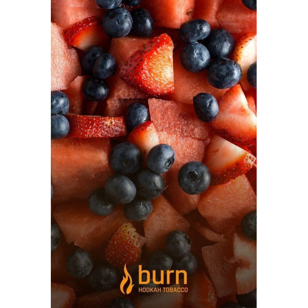 Табак Burn Berried Treasure 100 грамм в Магадане