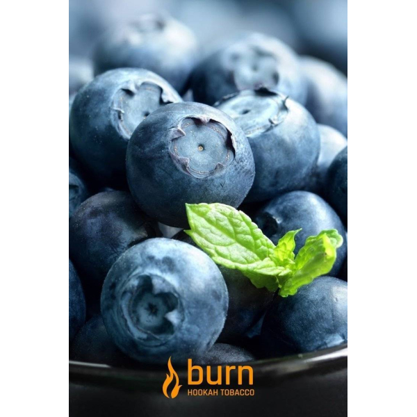 Табак Burn Blueberry Mint 100 грамм в Магадане