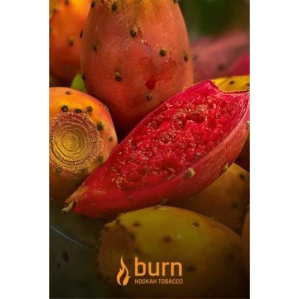 Табак Burn Cactus 100 грамм в Магадане