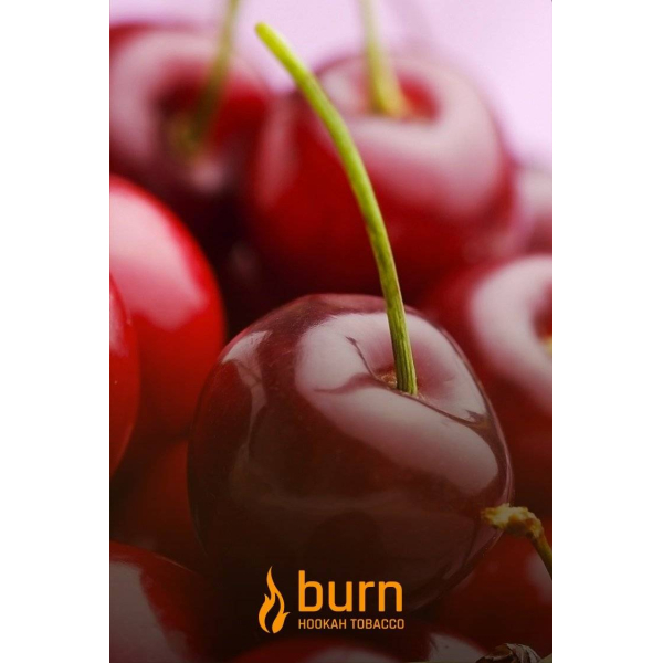 Табак Burn Candy Cherry 100 грамм в Магадане