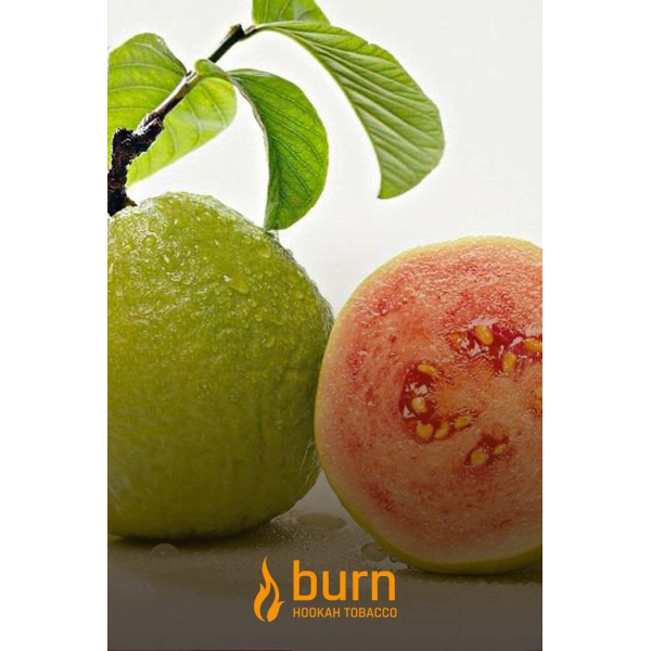 Табак Burn Guava 100 грамм в Магадане