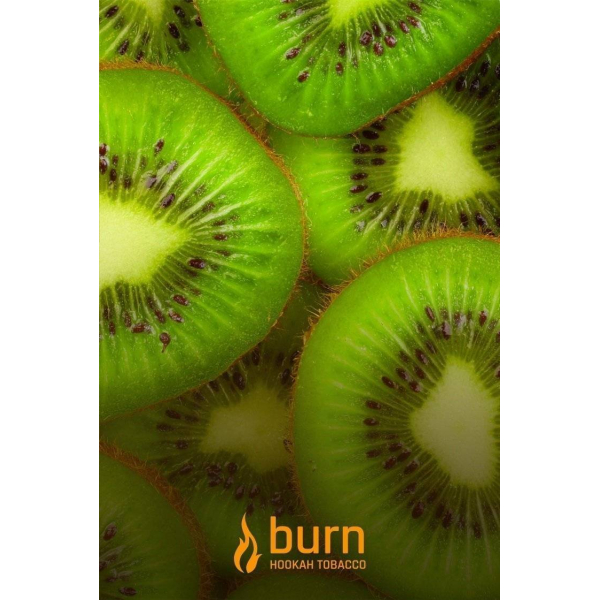 Табак Burn Kiwi 100 грамм в Магадане