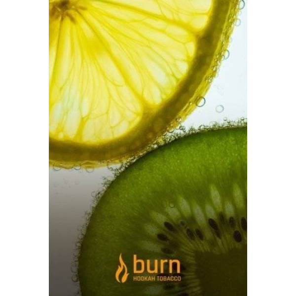 Табак Burn Kiwi Lemon 100 грамм в Магадане