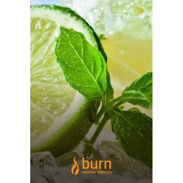 Табак Burn Lemon Mint 100 грамм в Магадане