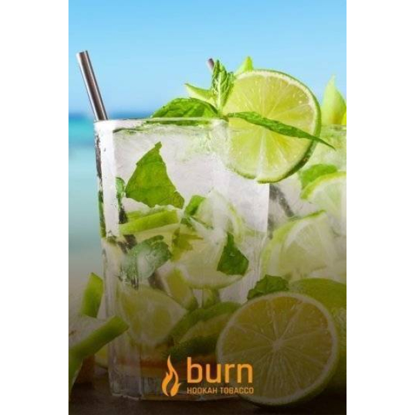 Табак Burn Mojito 100 грамм в Магадане