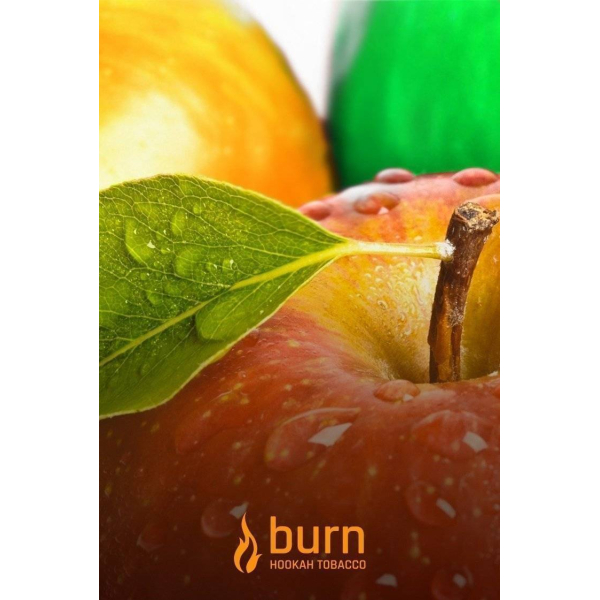 Табак Burn Three Apples 100 грамм в Магадане