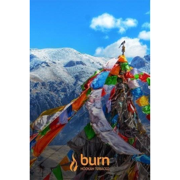 Табак Burn Tibet 100 грамм в Магадане