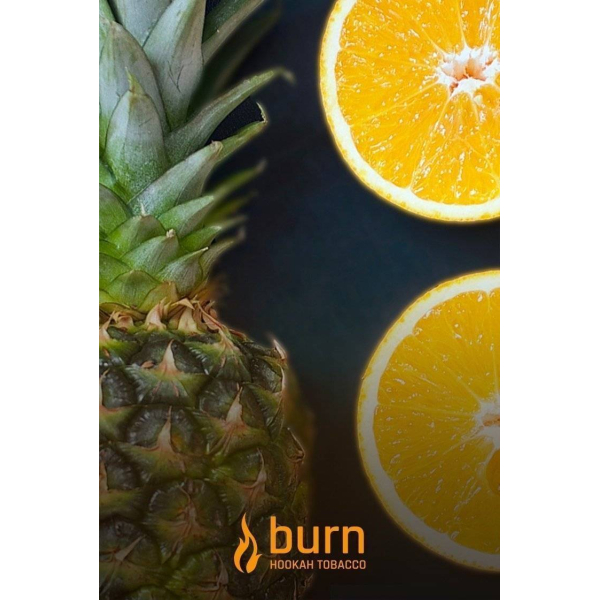 Табак Burn White Night 100 грамм в Магадане