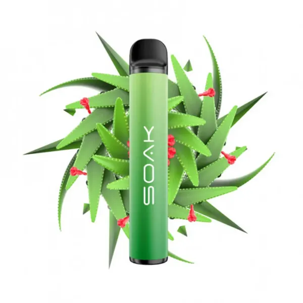 SOAK X Aloe Vera (Алое Вера), 1500 тяг в Магадане