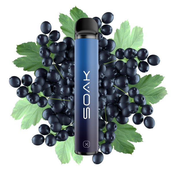 SOAK X Forest Blackcurrant (Лесная черная смородина), 1500 тяг в Магадане