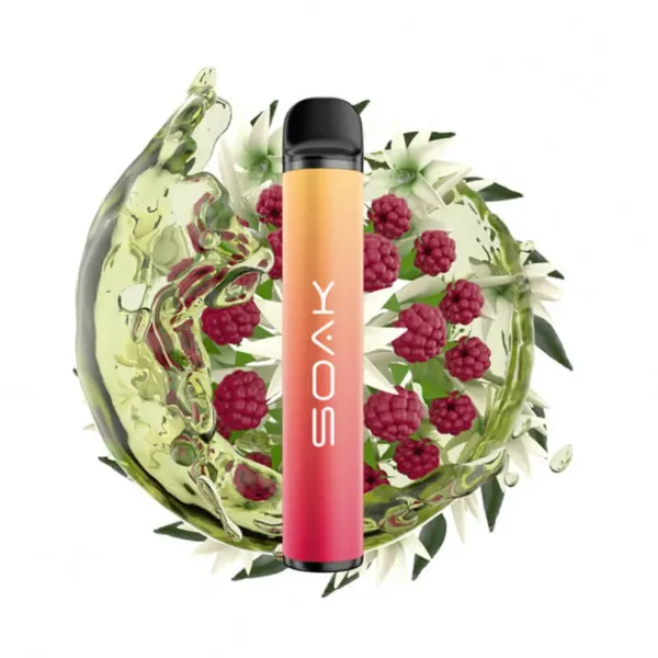 SOAK X Jasmin Raspberry Tea (Жасминовый чай с малиной), 1500 тяг в Магадане