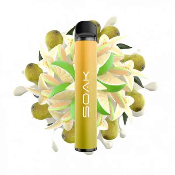 SOAK X Vanilla Pear (Ванильная груша с лаймом), 1500 тяг в Магадане