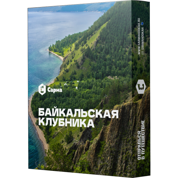 Табак Сарма Байкальская Клубника 25 гр в Магадане