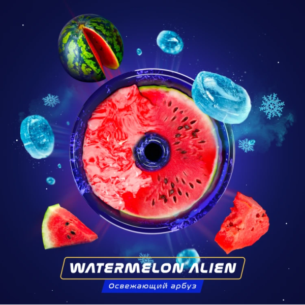 Паста Space Smoke BASIC Watermelon  Alien (Арбуз с  холодком) 125 гр в Магадане