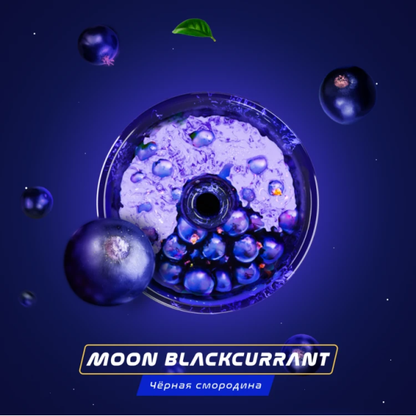 Паста Space Smoke BASIC Moon  Blackcurrant (Черная  смородина) 30 гр в Магадане