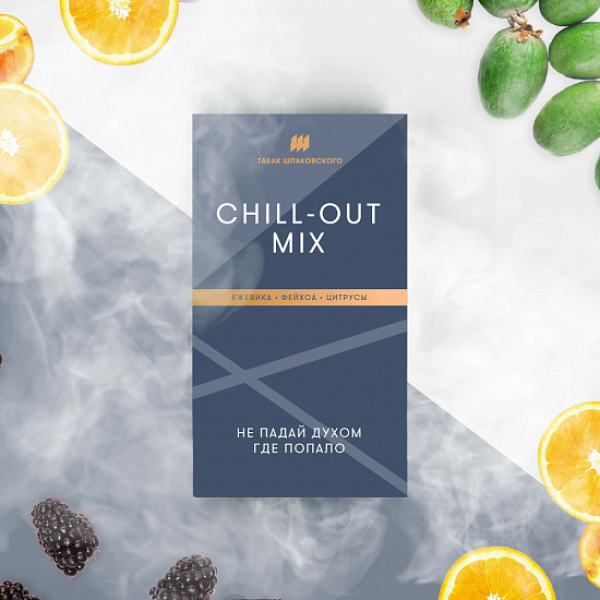 Табак Шпаковского Chill Out (Ежевика Фейхоа Цитрусы) 40 грамм в Магадане