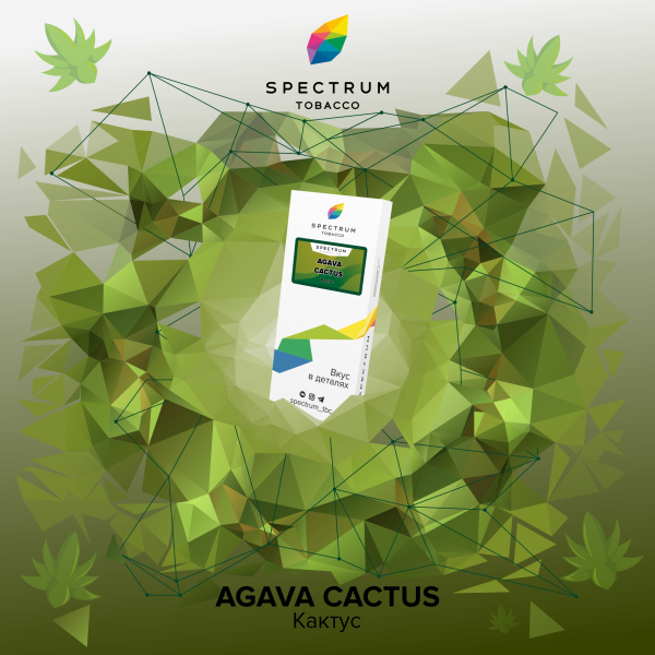 Табак Spectrum Classic Agava Cactus 100 грамм в Магадане