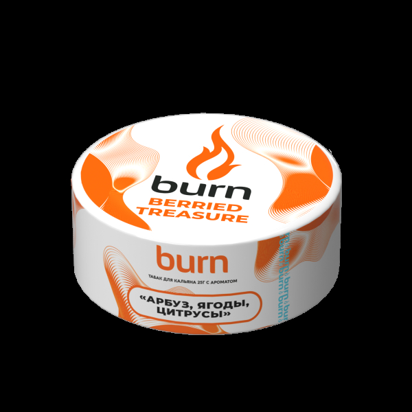 Табак Burn Berried Treasure  25 грамм в Магадане