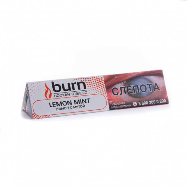 Табак Burn Lemon Mint  25 грамм в Магадане